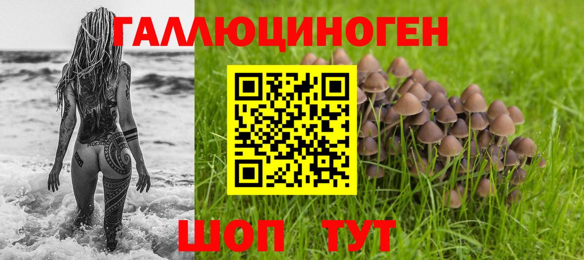 Галлюциногенные грибы мицелий  где продают   Псилоцибиновые грибы Magic Shrooms  Красноярск  Вход с VPN 